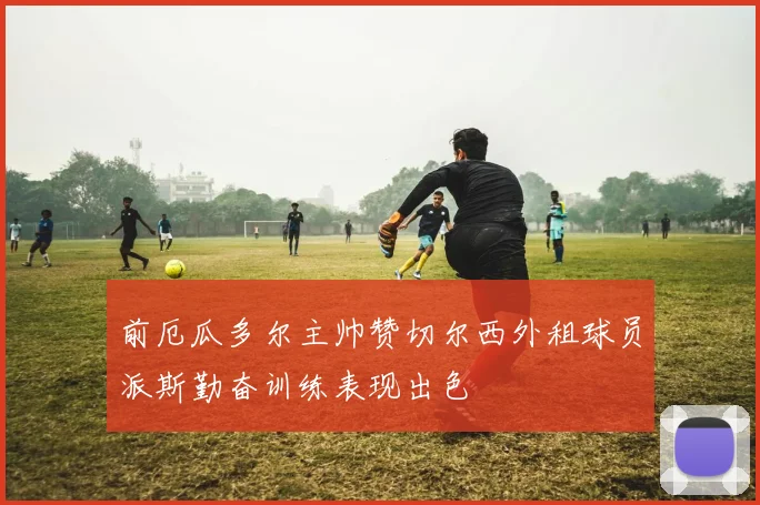 前厄瓜多尔主帅赞切尔西外租球员派斯勤奋训练表现出色